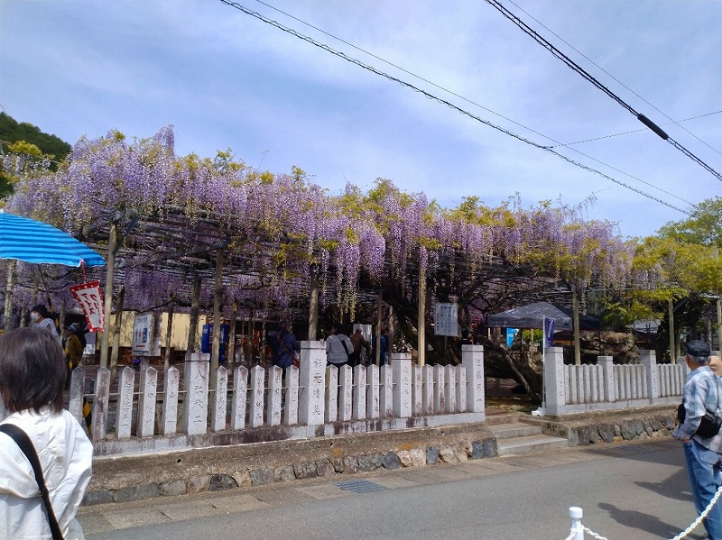 ファイル 352-1.jpg