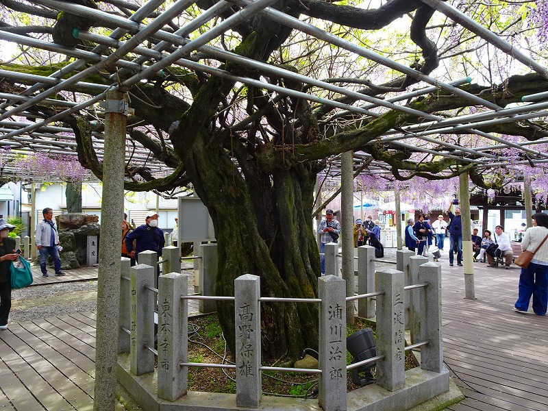 ファイル 352-2.jpg