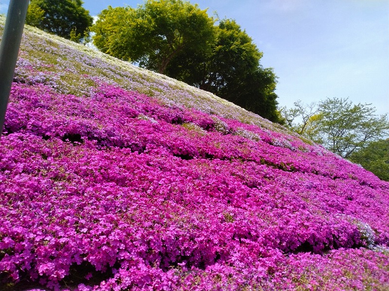 ファイル 352-3.jpg