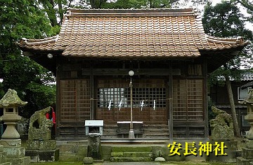 07