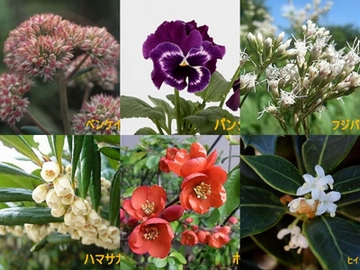 新しいフォルダー (3)